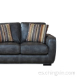 El sofá seccional fija los muebles del sofá de la sala de estar de dos plazas
